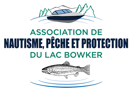 Association du Lac Bowker